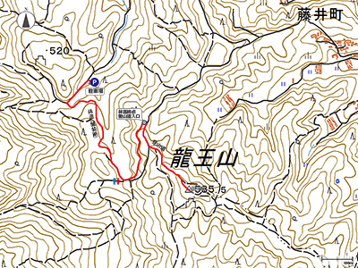 龍王山 - 地図